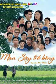 Mùa Sậy Trổ Bông